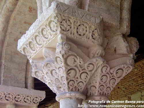 DECORACI�N VEGETAL